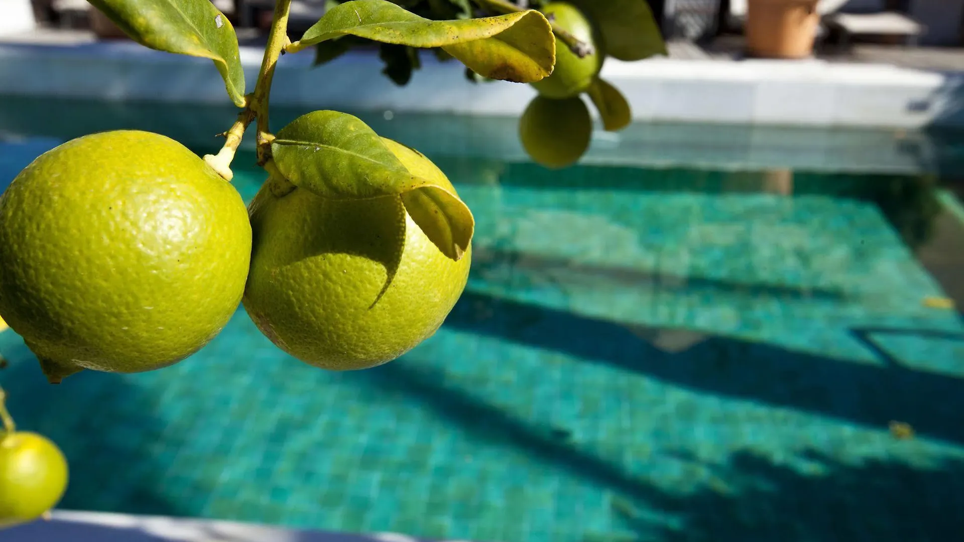 Rio Real Golf & Hotel Marbella